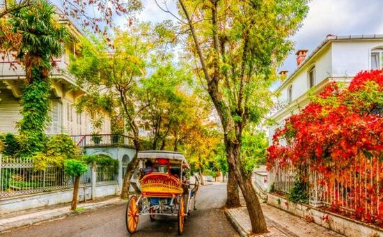 29 EKİM ÖZEL  İSTANBUL ADALAR SARAYLAR ŞİLE AĞVA TURU