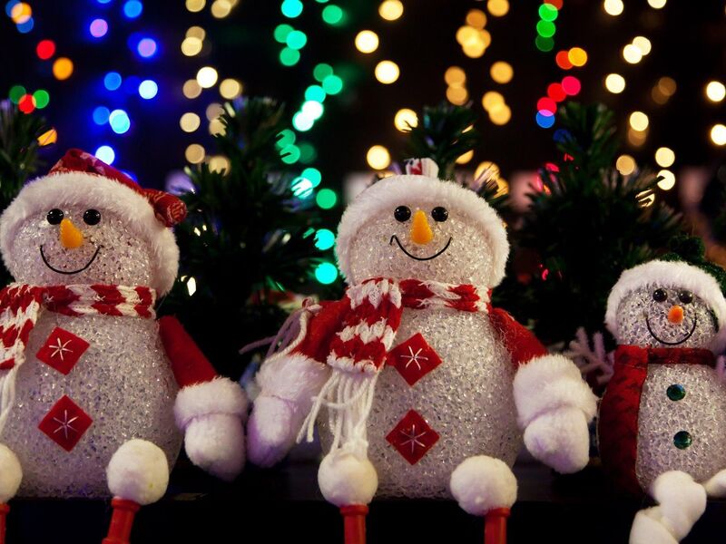 YILBAŞI ÖZEL ABANT GÖLCÜK SAPANCA MAŞUKİYE KARTEPE TARAKLI MUDURNU TURU