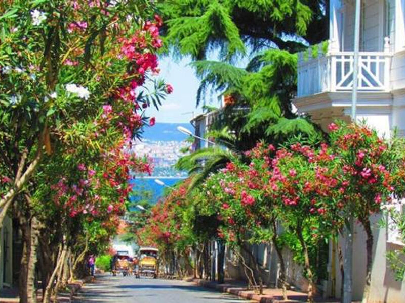 29 EKİM ÖZEL  İSTANBUL ADALAR SARAYLAR ŞİLE AĞVA TURU