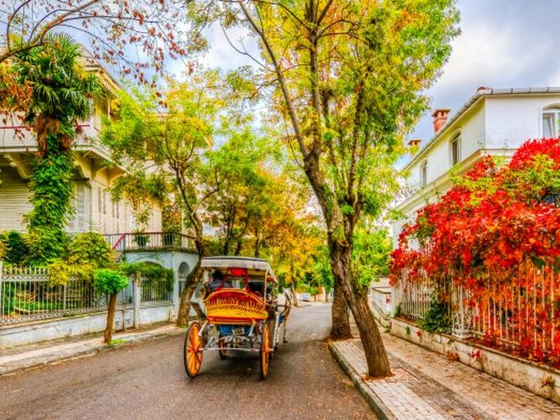 29 EKİM ÖZEL  İSTANBUL ADALAR SARAYLAR ŞİLE AĞVA TURU