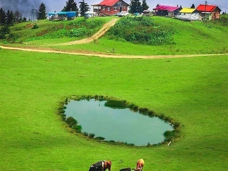 UÇAKLI BUTİK DOĞU KARADENİZ YAYLALAR TURU